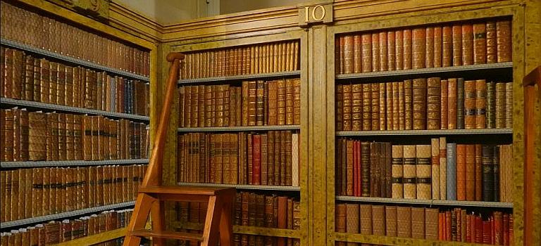 Wo das Wiener Wissen wohnt